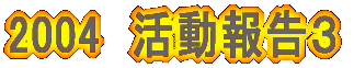 2004@񍐂R
